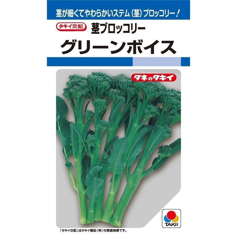 Amazon.co.jp: 〈10ml〉茎ブロッコリー種【 グリーンボイス 】タキイ