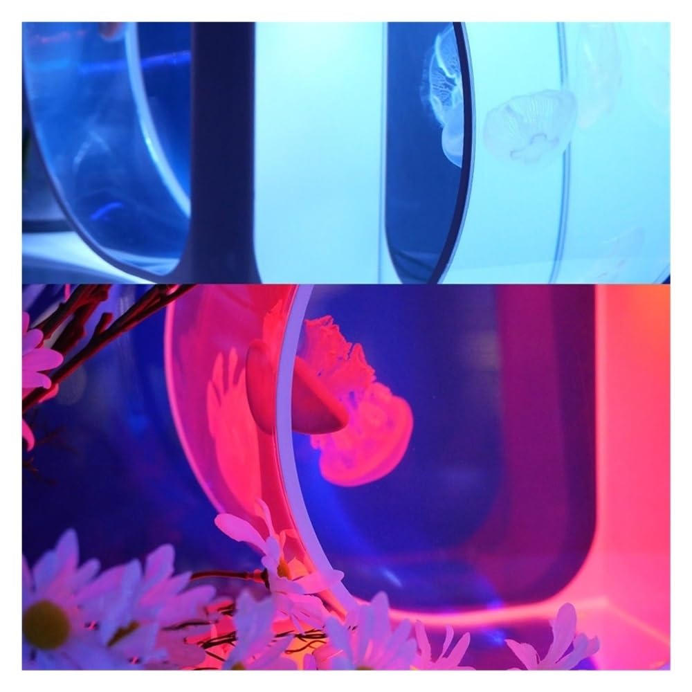 Aquarium Fischbecken mit Zwei Quallen, kleines dekoratives Schreibtisch-Aquarium, Büro- und Heimdekoration