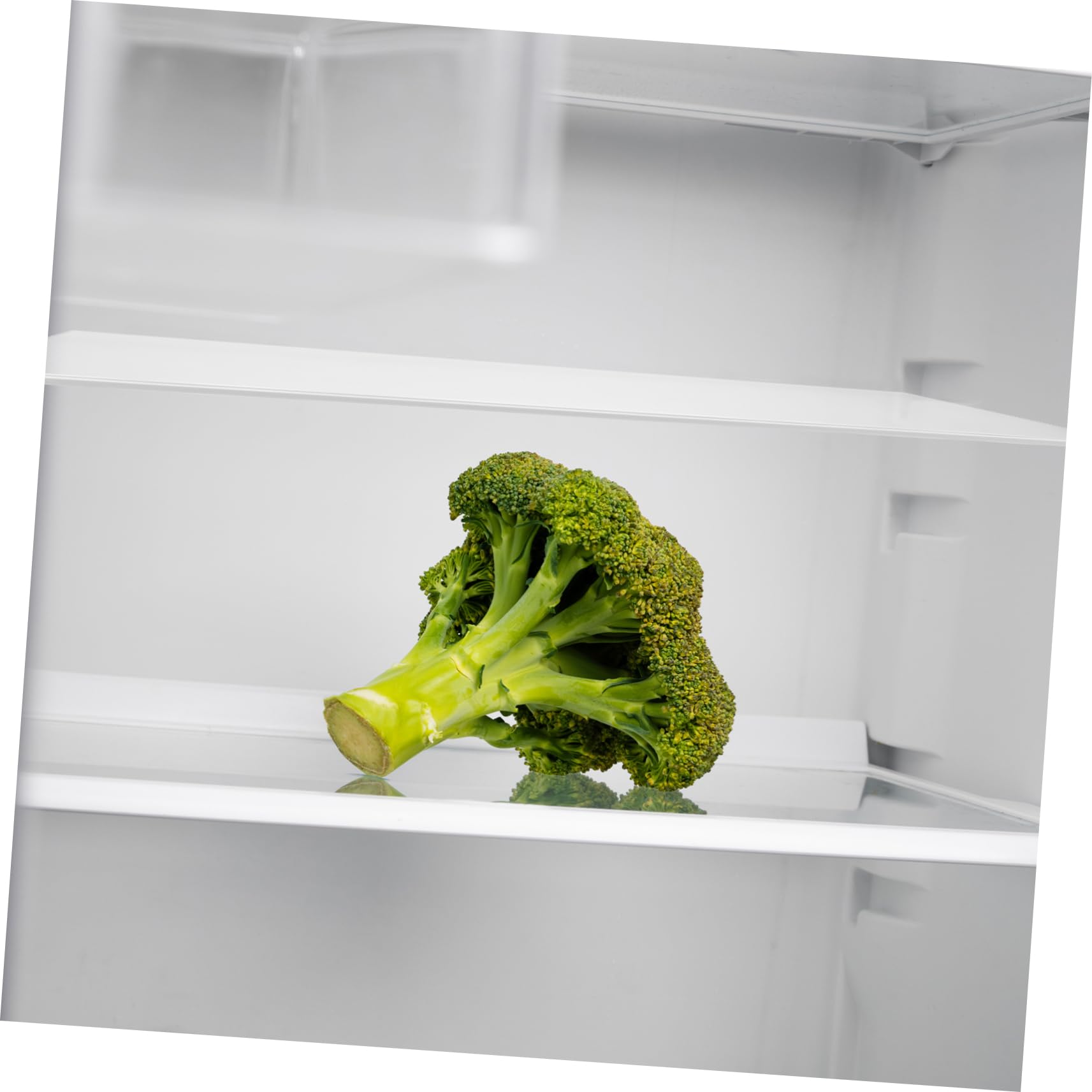UKCOCO 1 Separador De Cristal Para Refrigerador, Estante Divisoria De Nevera, Organizador, Soporte Resistente y Fácil De Limpiar, Adecuado Para Cocina