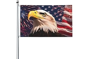 US Flag Featuring Bald Eagles - 3x5 American Eagle Flag