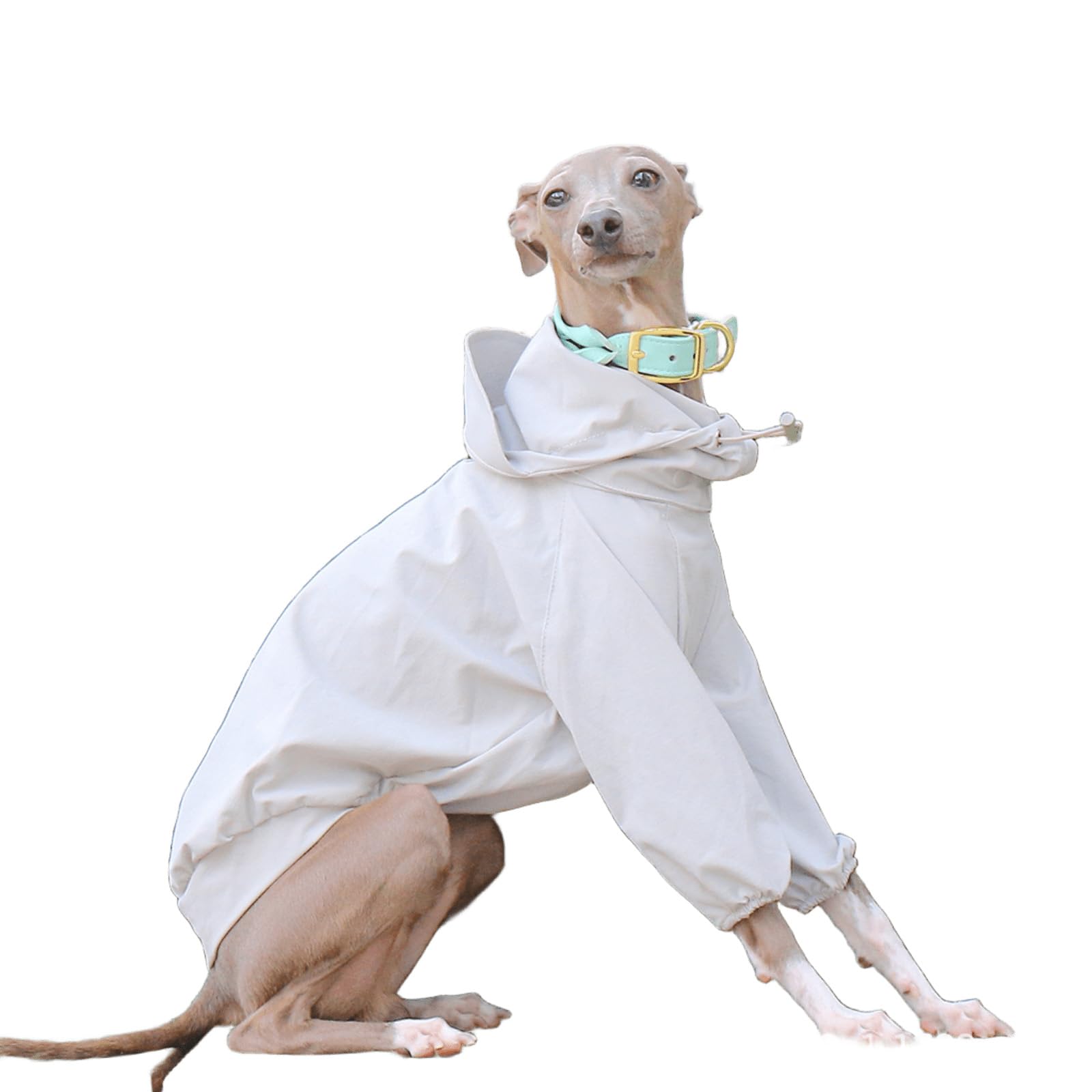 UOSIA Whippet Dog Raincoat Waterproof Dog Rain Jacket With Removable Hood Adjustable 2 Legs High Collar Puppy Raincoat Poncho For Italian Greyhound