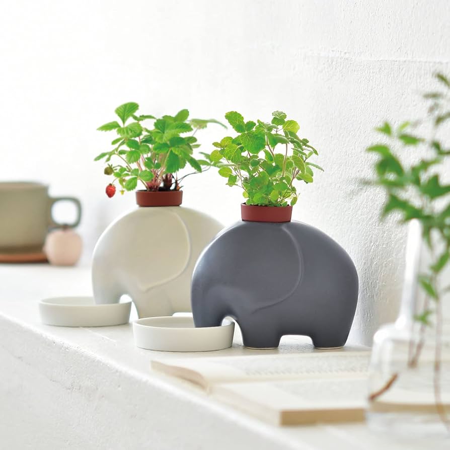 Amazon.co.jp: Seishin Pottery GD-95502 All-Year, Easy