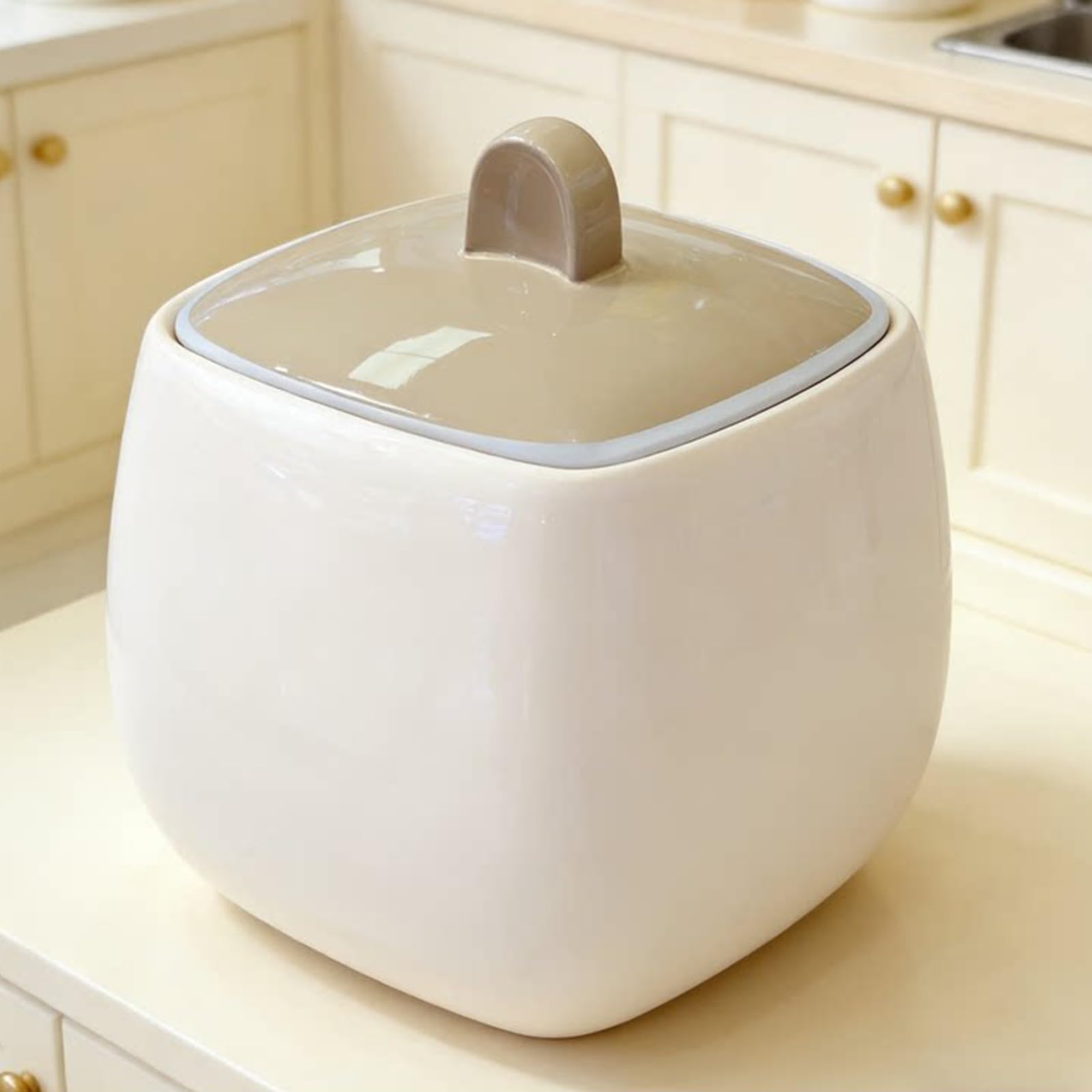Ceramiczny Storage Container, Pojemnik do przechowywania z Pokrywką, Pojemnik na Musli o Dużej Pojemności do Fasoli, Kukurydzy, Pszenicy, Płatków Owsianych, Pojemnika(9.4x11.8in/24x30cm)