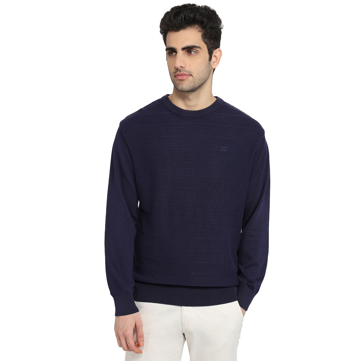 colorplus Men Regular Fit Jacquard Pattern Pure Cotton Full Sleeve Round Neck Casual Sweater Navy-picture-16