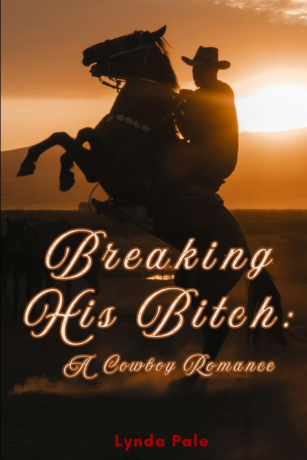 Breaking His Bitch: A Tough Love Cowboy Romance (The Tropes and Triggers Masquerade)