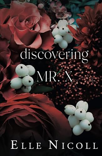Discovering Mr X An enemies to lovers steamy romance (The Men Series - Interconnected Standalone Romances)