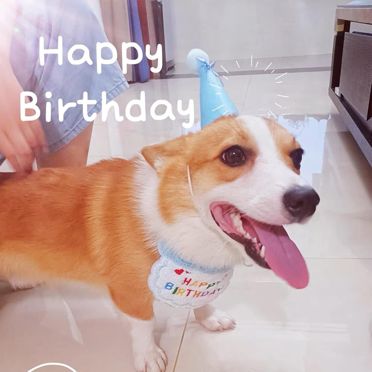 2 Set Cappellini E Bavaglini Per Compleanno Del Cane O Gatto - Accessori Carini Per Feste A Tema