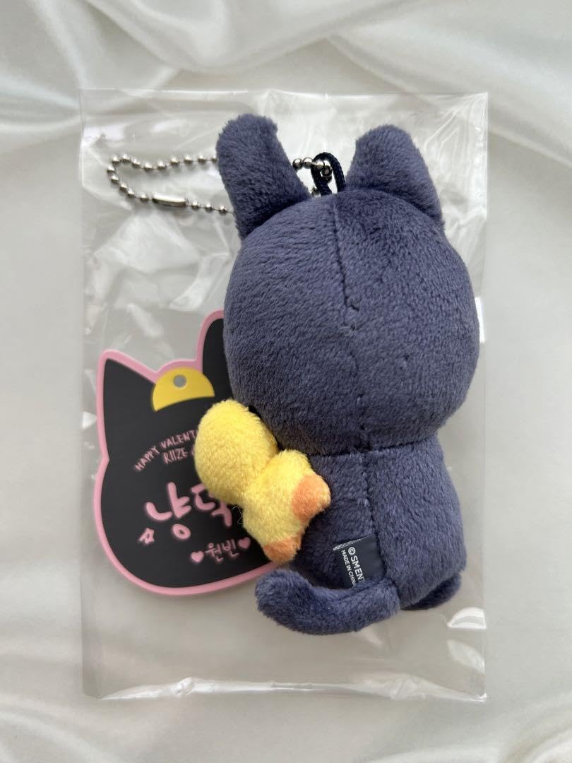 Amazon.co.jp: RIIZE ぬいぐるみ ウォンビン : おもちゃ