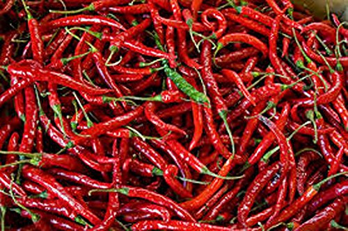 CAYENNE PEPPER, LONG RED THIN PEPPER SEEDS, HEIRLOOM, 20 SEEDS,GREAT FRESH OR DRIED