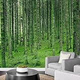 Papel Pintado Bosque Fotomurales Decorativos Pared Paisaje Verde Murales de Pared 3D Papel de Parede Fotográfico para Salón o Dormitorio 450x315 cm 1176b