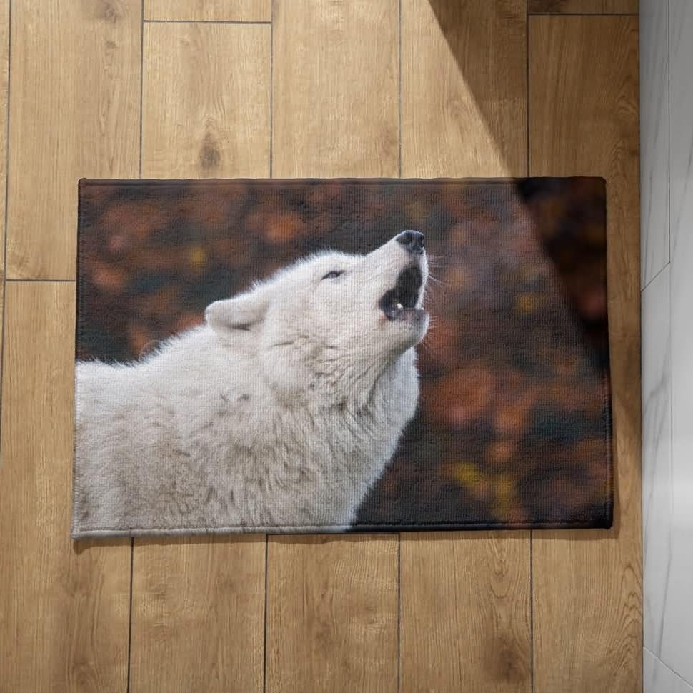 Tapis d'entrée long CEVAN 50x80 cm tapis de protection de sol intérieur