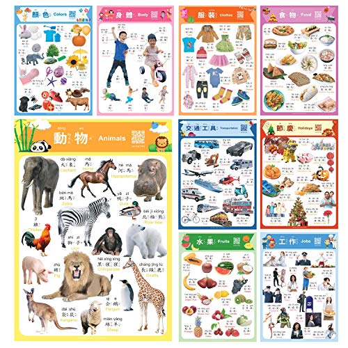 Learn Chinese for Kids Poster Set. Montessori-Inspired. Bilingual with Chinese-English. for Kids, Toddlers, and Preschoolers. Learning Videos Included. with Traditional Chinese and Zhuyin.