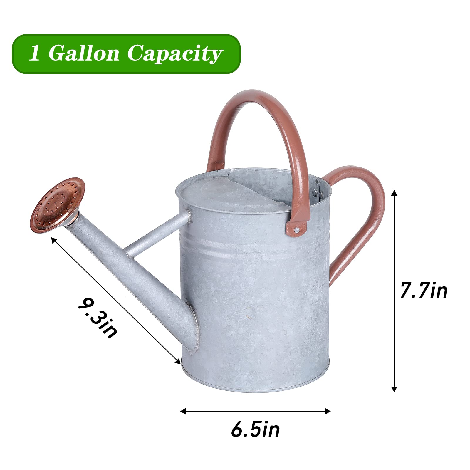 Homarden Arrosoir En Cuivre De 3,8 L – Arrosoir En Métal Avec Bec Amovible, Arrosoir Parfait Pour Plantes D'intérieur Et D'extérieur (plantes D'intérieur) – Décoration Idéale