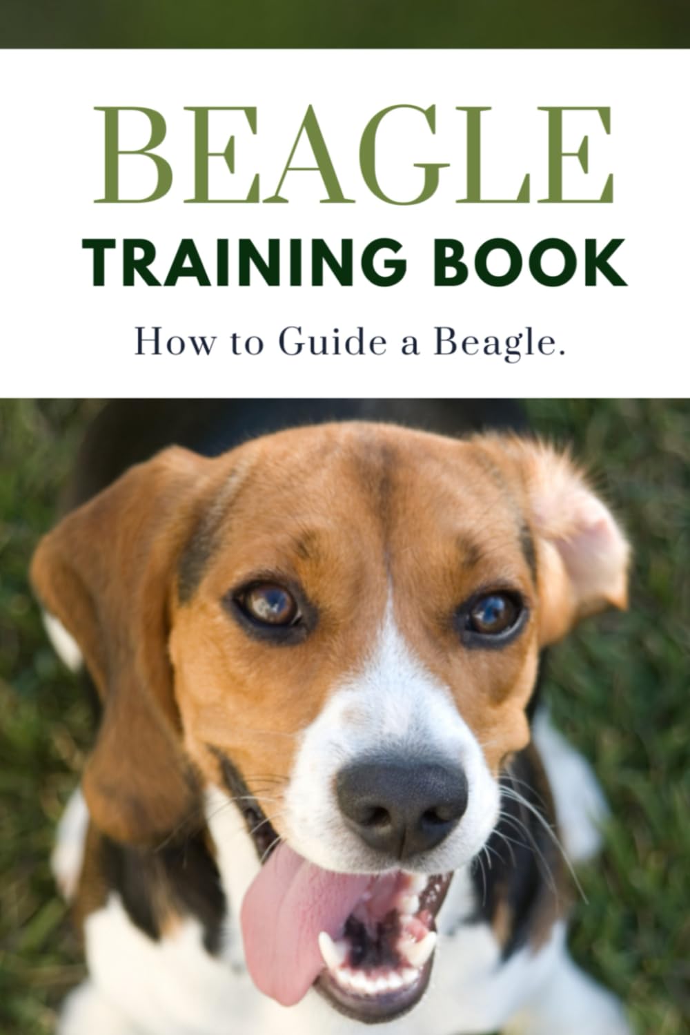 Beagle Training Book: How to Guide a Beagle