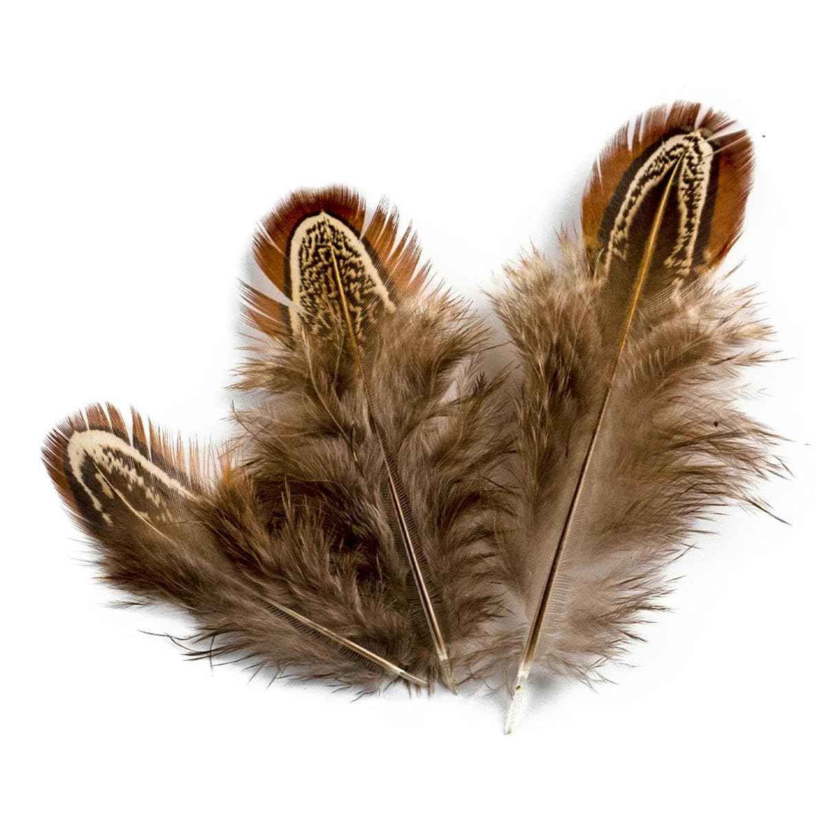 50/100 piume di faraona 3-8 cm decorazione per abiti da festa artigianali cucito ricamo accessori per gioielli artigianato pennacchio-colore naturale-50 pezzi