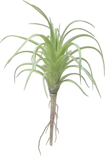 Ebros Gift Paquete de 5 plantas de aire artificiales realistas grandes, suculentas, verde, botánica, hogar, jardín, veranda, oficina, centros de