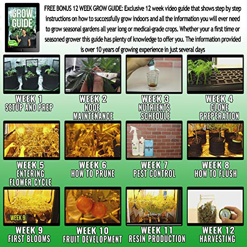 Yield Lab Horticulture 1000w HPS Grow Light Review THC