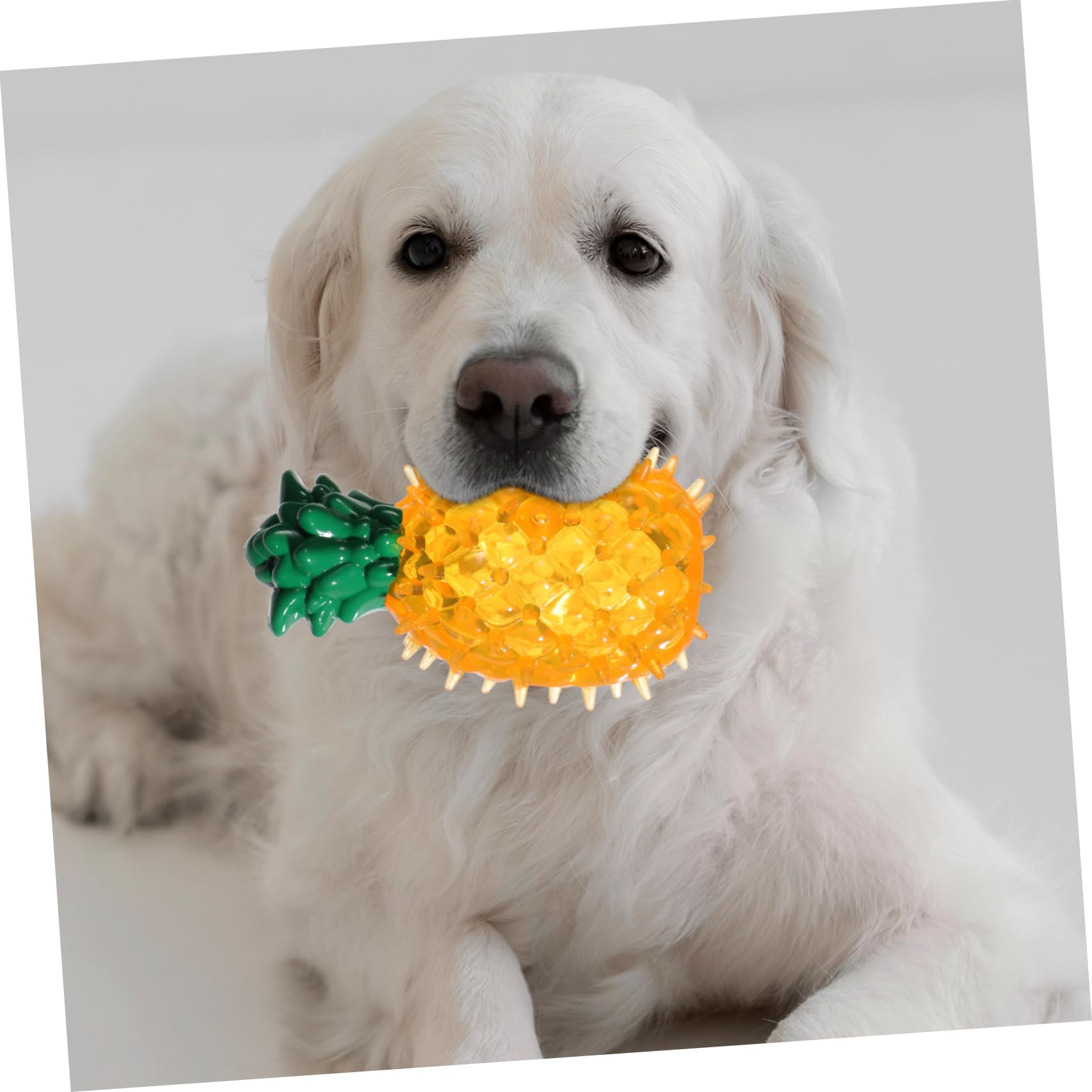 Toddmomy 6pièces Jouet à Mâcher pour Chien Forme De Fruits Jouet De Congélation pour Chiens pour Teething
