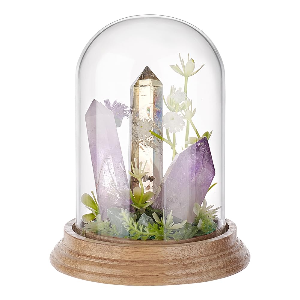 Cloche dôme en verre transparent PH PandaHall avec base en bois pour fleurs et plantes
