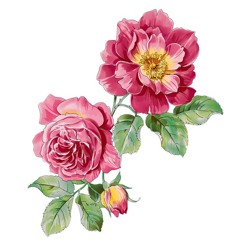 Magnolia autocollant 15cm amovible et repositionnable pour decoration