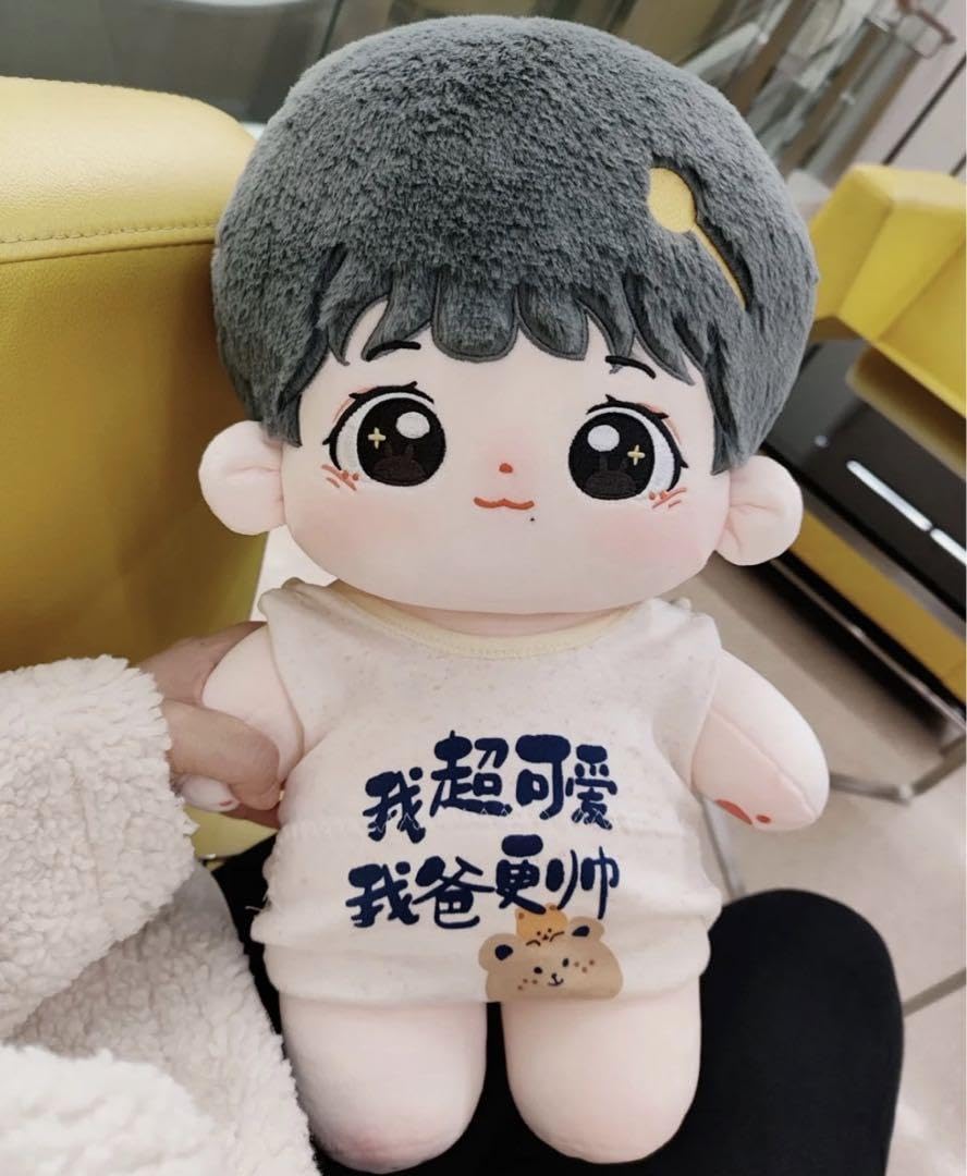 Amazon.co.jp: 40cm 肖戦 ご飯ちゃん ぬいくるみ本体 陳情令 : おもちゃ