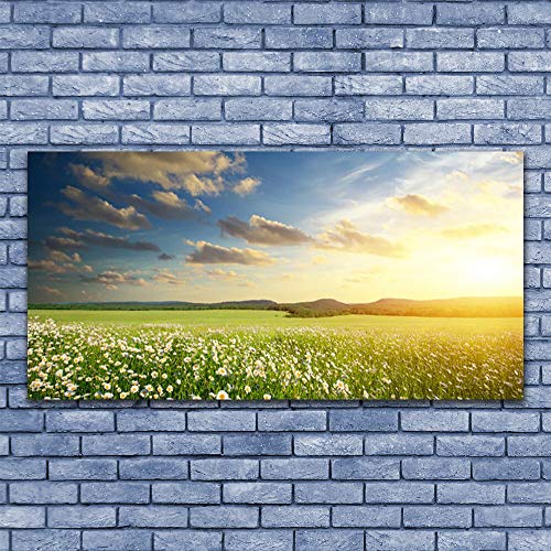 Plastique imprimés tableau mural fleurs meadow paysage décoration