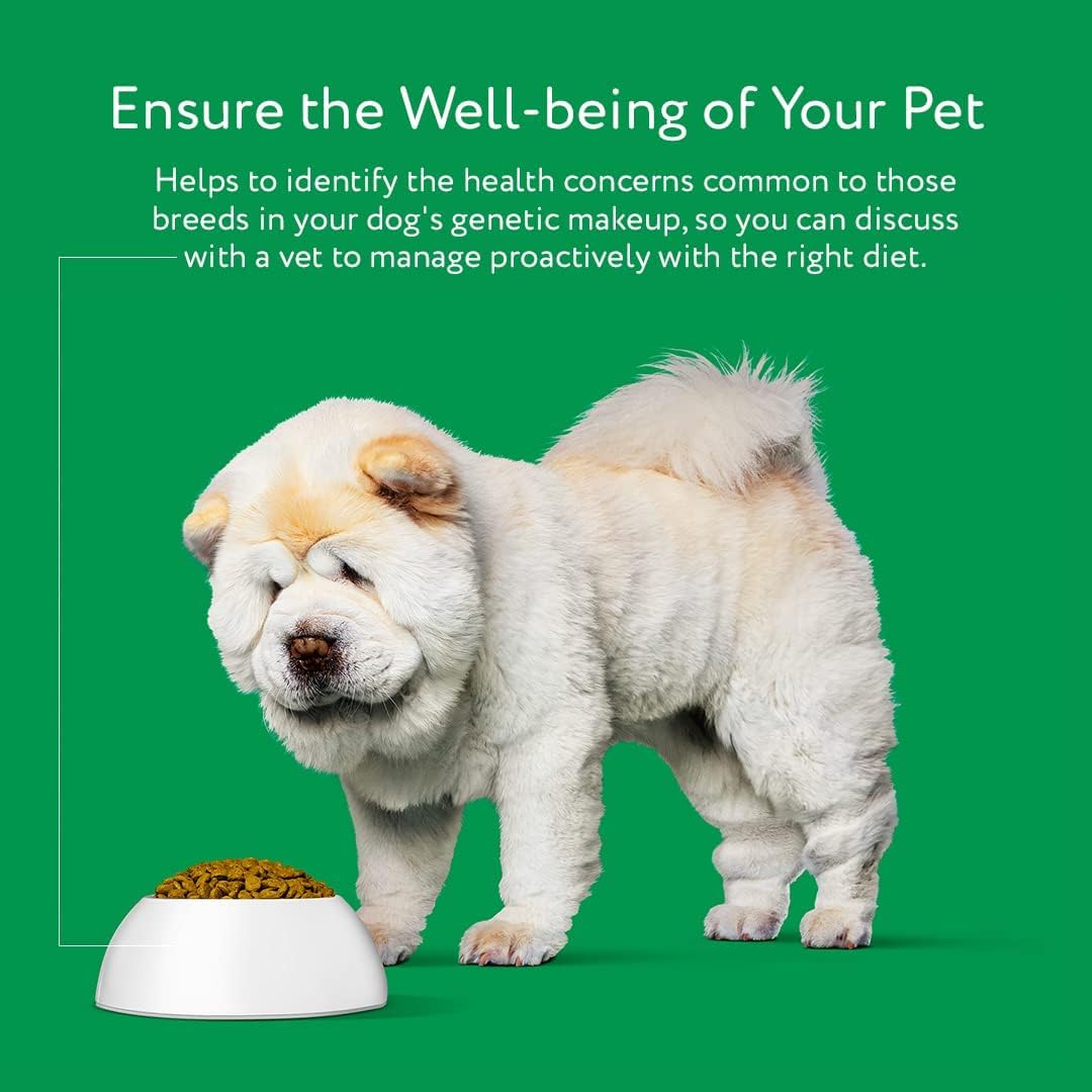 DNA My Dog Trusted & Affordable Breed Identification Test | 350+ Breeds Identified with 99%+ Accuracy | Complete Breed Analysis, Personality and Behavior Insights | Easy Cheek Swab, Results in 2 Weeks - Image 5