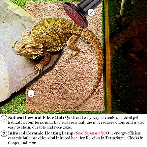 Sungrow Coco Fiber Hermit Crab & Reptile Carpet, Gecko Terrarium Liner, And Floor Bedding Substrate & Supplies, Climbing Wall Carpet & Mat For Hermit Crabs, 10" X 13", 1 Piece Per Pack #TOP4