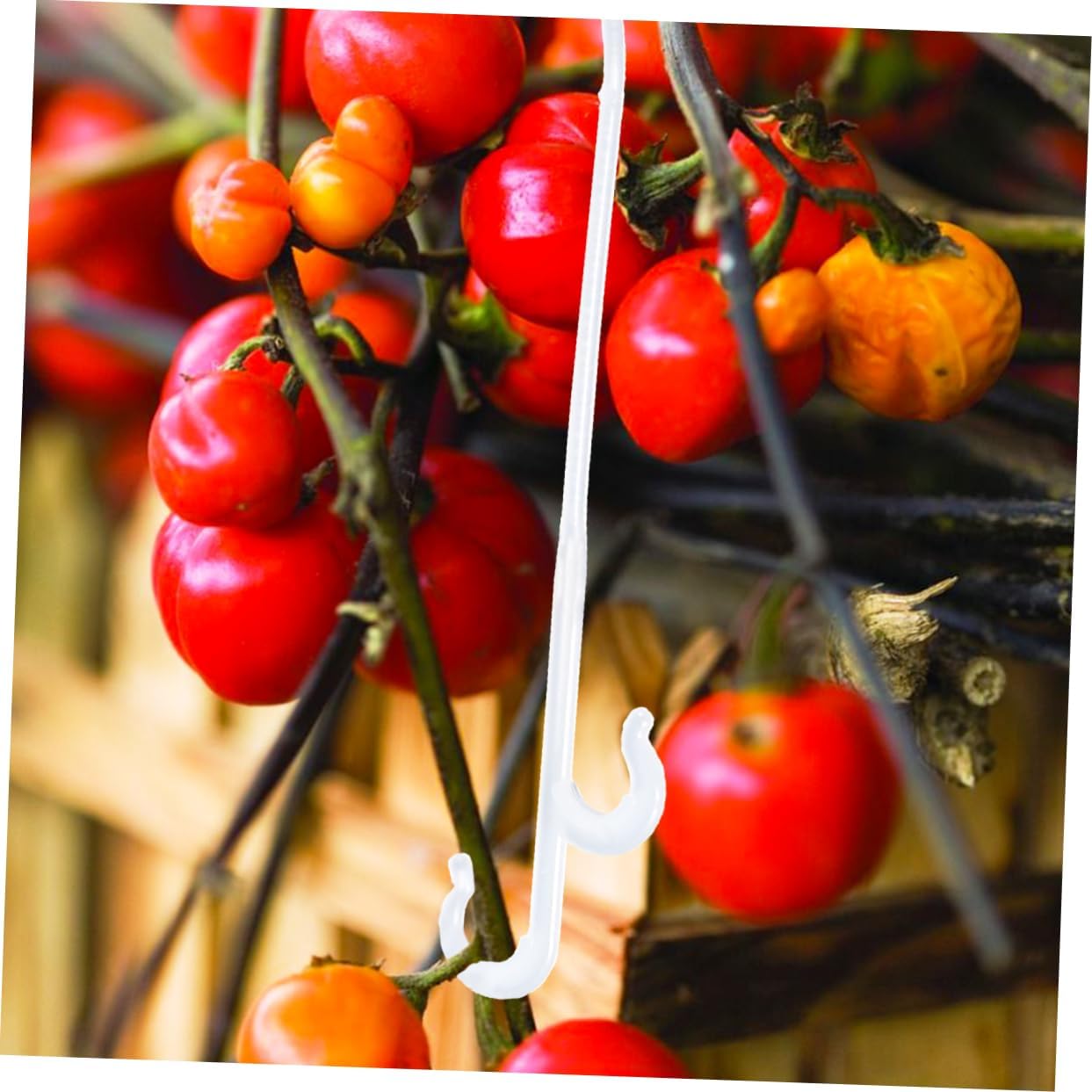850pcs Garden Plant Support Hooks Fruit Pull Hook Tomato Supports Vegetable Vine Efficient Plant Hanging Supplies