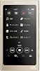 Sony Walkman A Series 16GB NW-A45: Bluetooth/microSD/Hi-Res compatible, up to 39 hours continuous playback, 2017 model, Pale Gold NW-A45 N