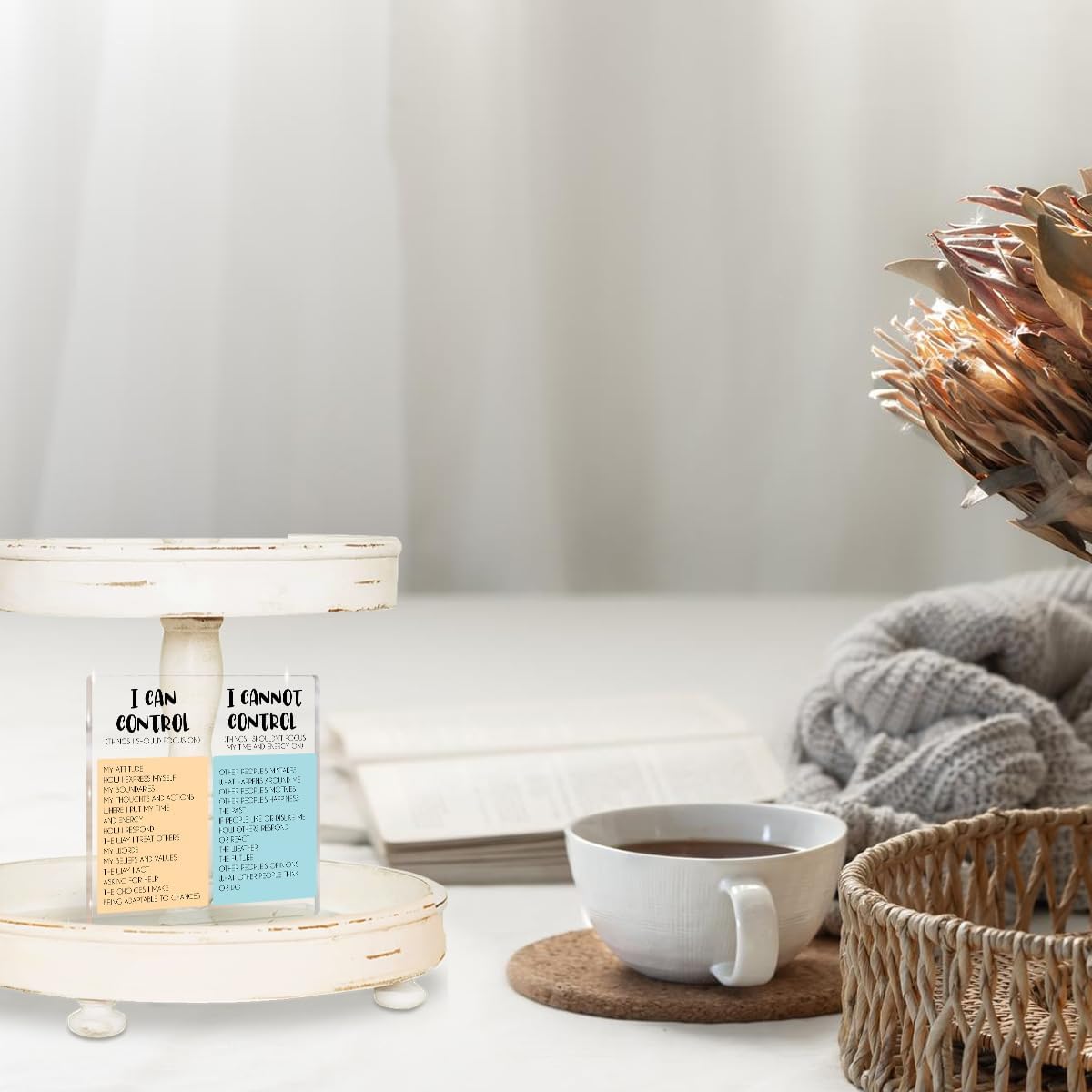 Inspiration Office Acrylic Sign Things I Can't Control Office Decor Sign, Thank You Gifts for Woman Friends Nurse Coworker Decorative Desk Accessories Table Shelf Plaque Signs - Image 4