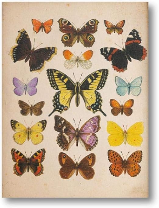 Amazon 蝶ヴィンテージポスターとプリント昆虫アンティークイラストウォールアートキャンバス絵画の現代のリビングルームの家の装飾40 60センチフレームなし ウォールステッカー オンライン通販