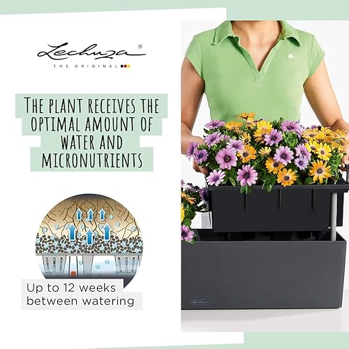 Miniatura 3 de Lechuza - Maceta balconera, color 50