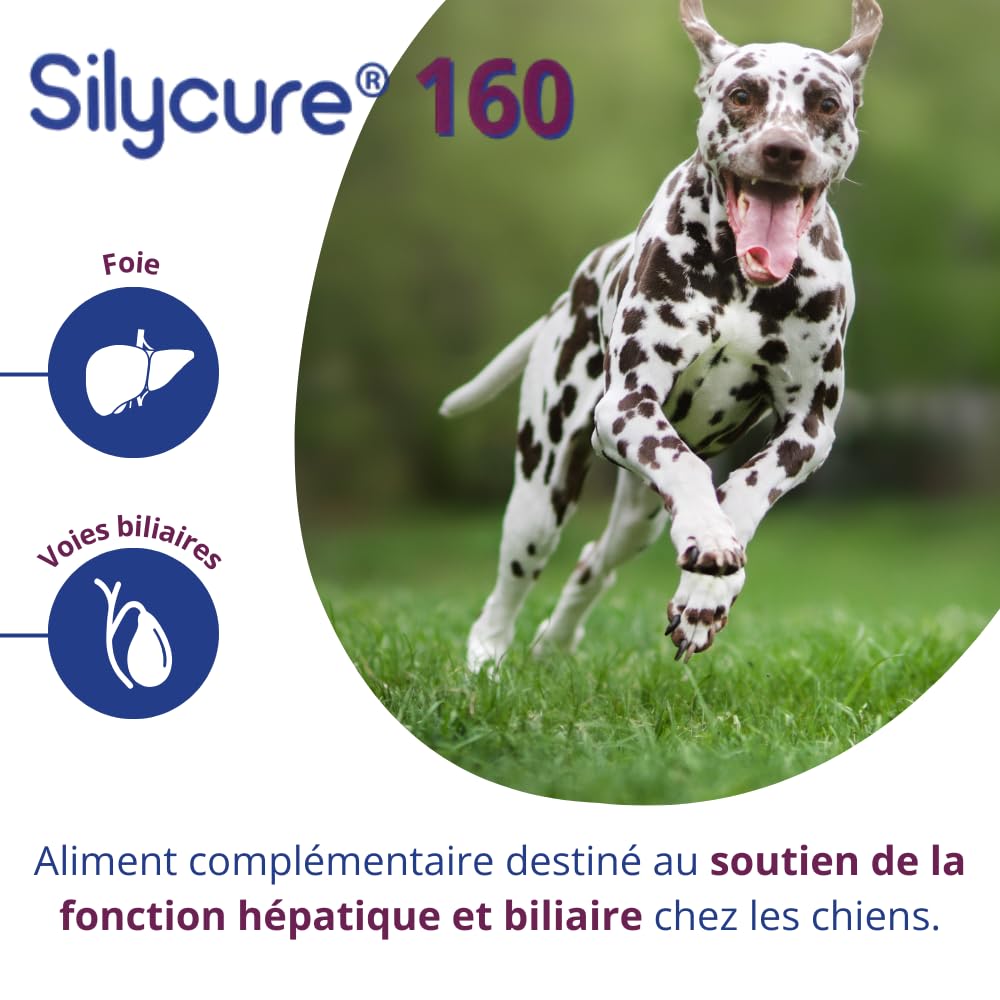 ANIDEV Silycure 160 - Aliment complémentaire Soutien Fonction hépatique Chien - Silybine Chardon Marie - Comprimés appétents quadrisécables - 75 comprimés