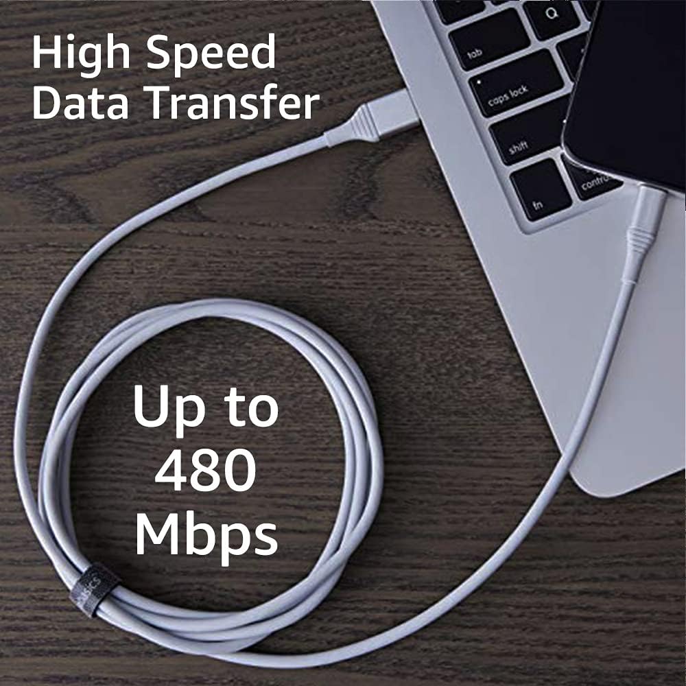 Amazon Basics USB-A to Lightning Cable Cord, MFi Certified Charger for Apple iPhone, iPad, 20,000 Bend Lifespan - Silver, 6-Ft