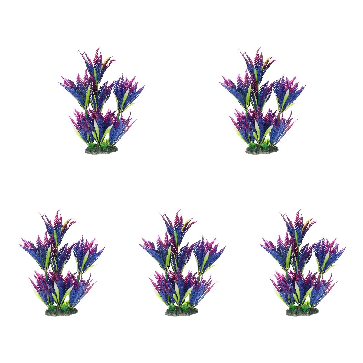 Aménagement paysager d'aquarium moderne avec lot de 5 plantes violettes au style zen