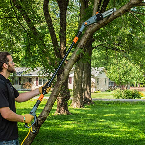 7 Types of Saw for Cutting Trees. (Hand & Power Saws) (2022)