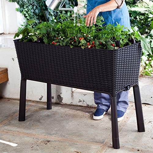 Solid Fir Wood Raised Garden Bed Planter Box with Trellis