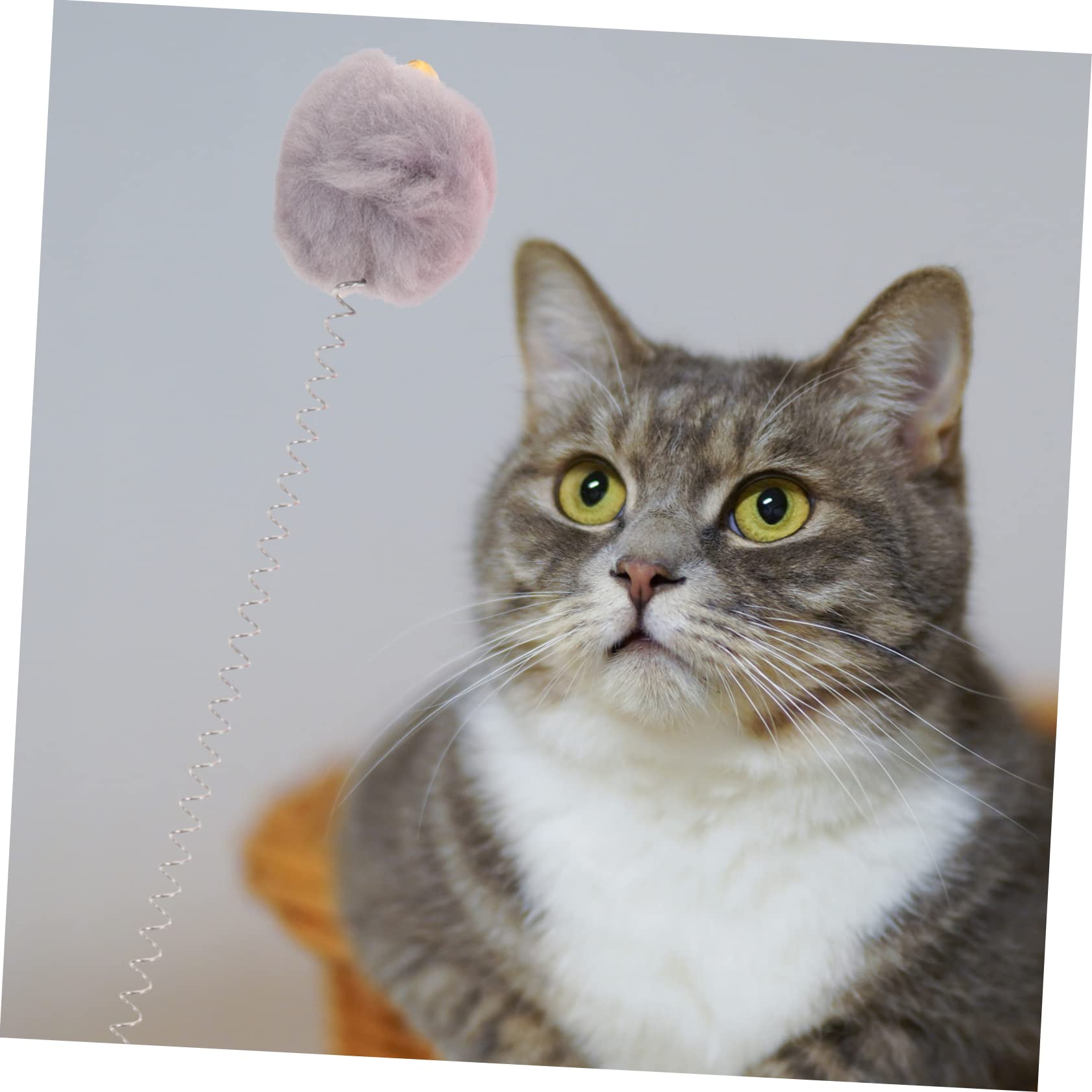 ABOOFAN 30stücke Teiliges Interaktives Katzenspielzeug Mit Saugnapf Katzenangel Mit Federn Und Glöckchen Fördert Spiel Und Bewegung Für Drinnen Für Beschäftigte Katzen