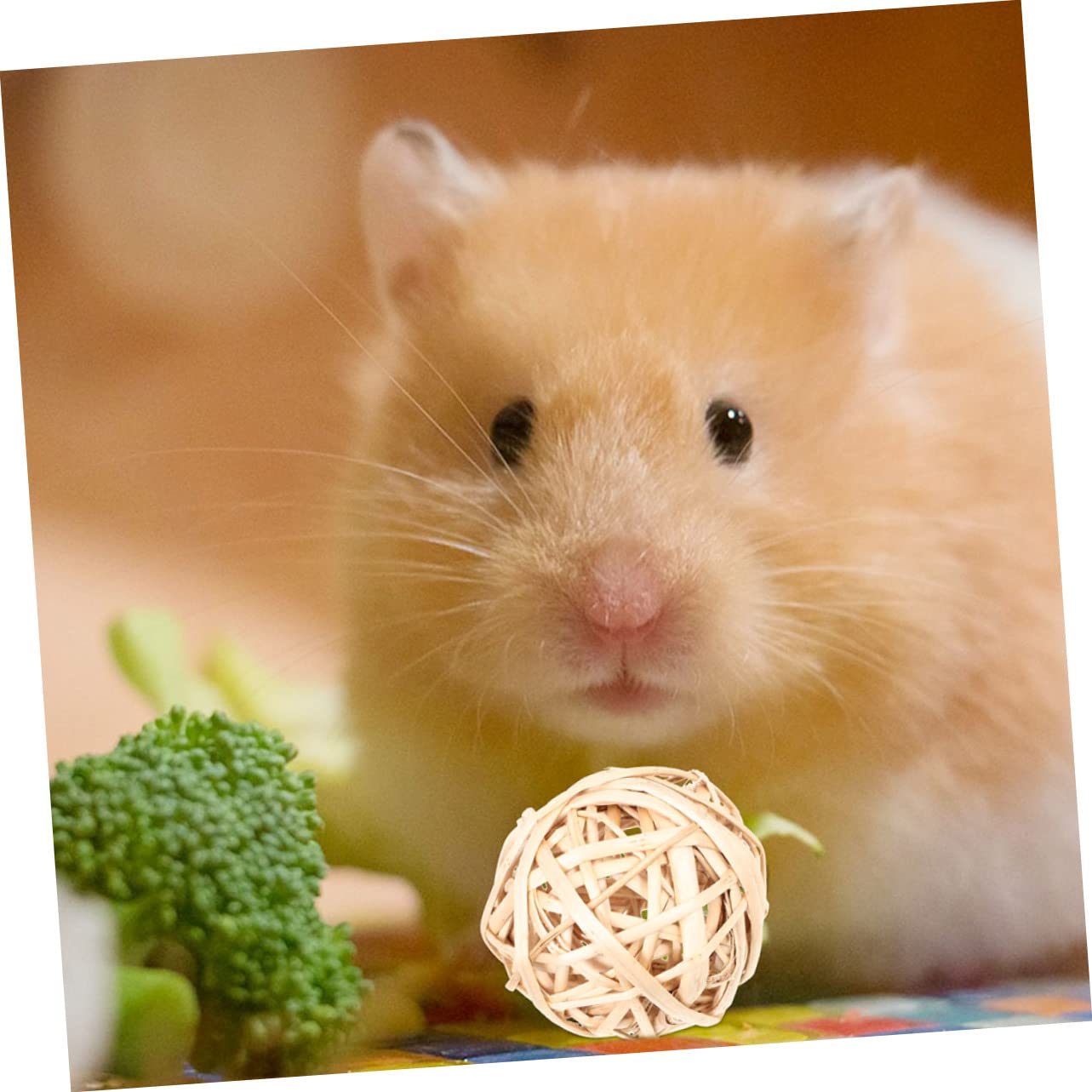 INOOMP 36piezas Juguetes para Hámster Juguetes Masticables para Roedores Diversión y Enriquecimiento para Conejos y Chinchillas