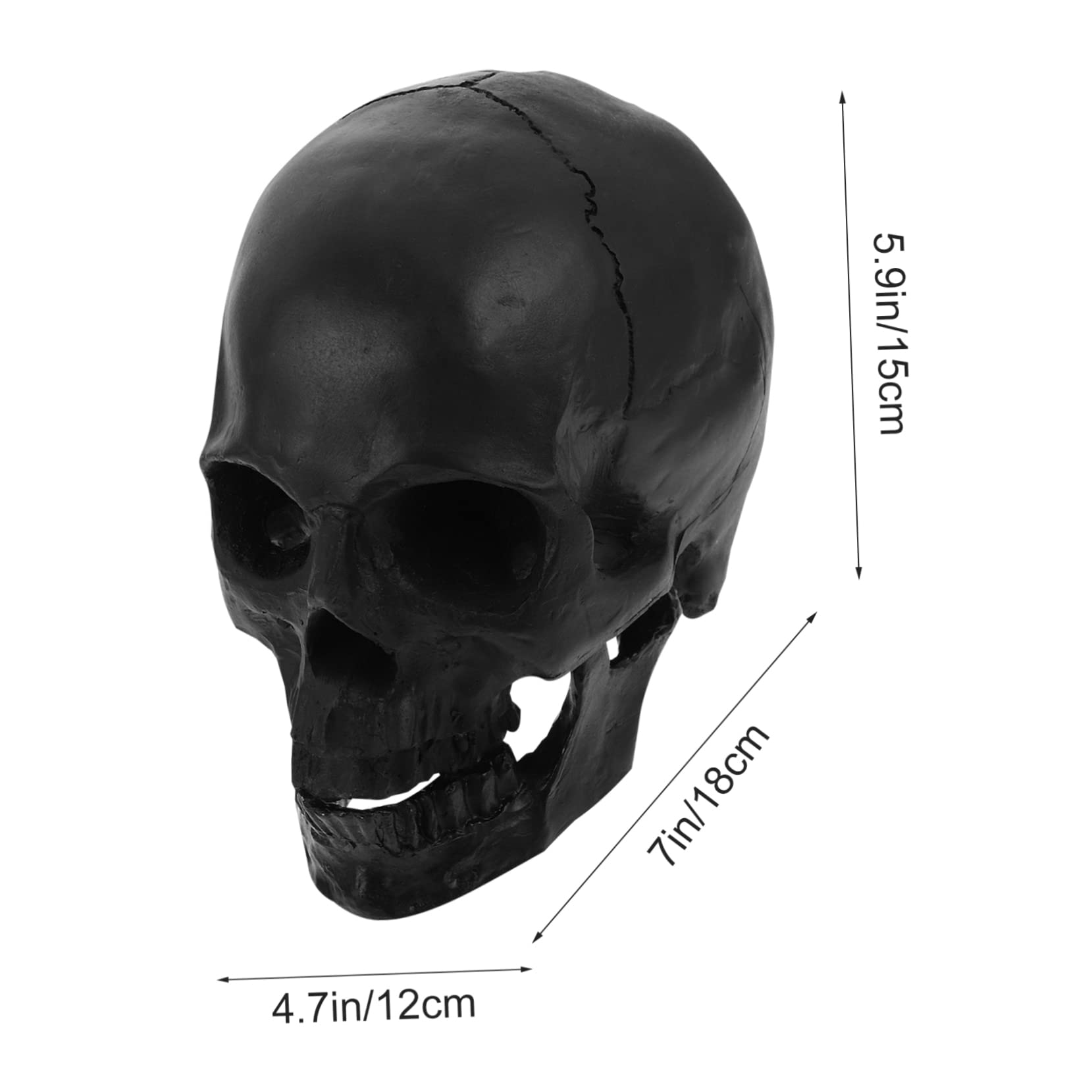 1pieza Modelo De Cráneo Humano para Decoración De Halloween Escultura Detallada y Artística Adorno Gótico para Hogar y Colección para Celebraciones y Fiestas