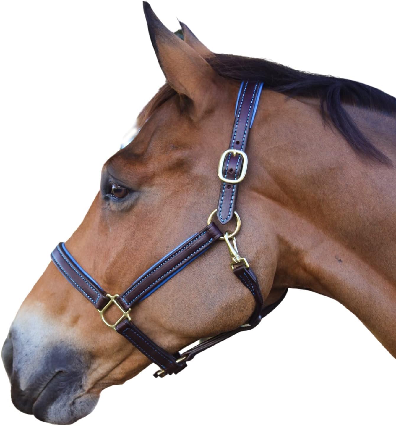Tack Shack of Ocala Custom Padded Leather Halter with Customized Engraved Name Plate Option Horse Halter, Customizable Leather Halter - Adjustable Chin with Snap Halter