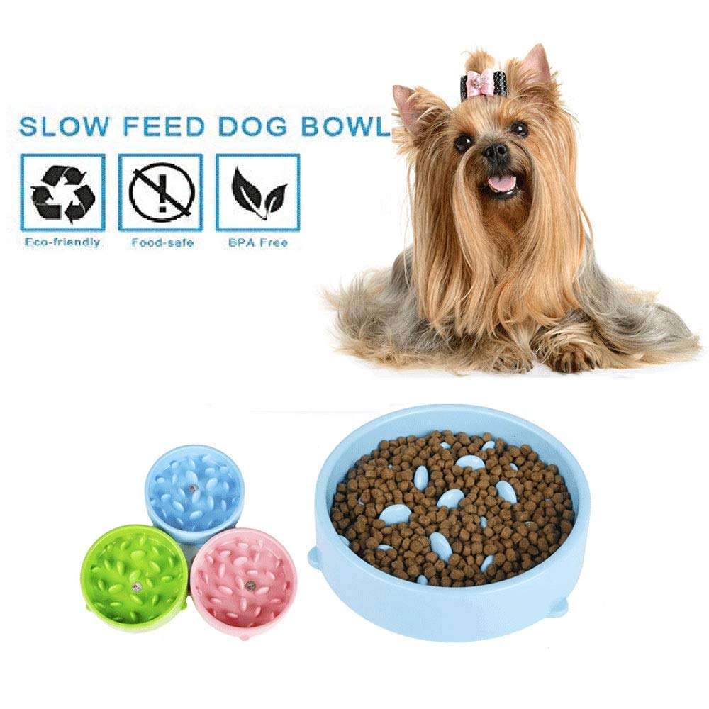 HB PET Ciotole per Cani Gatto,Plastica Cani Gatti Ciotola Lento Antiscivolo Animali Vassoio Evitare di Animale da Mangiare Troppo e Rimpinzarsi, Anti Ingozzamento Anti-soffocare, Slow Food Dog Bowl
