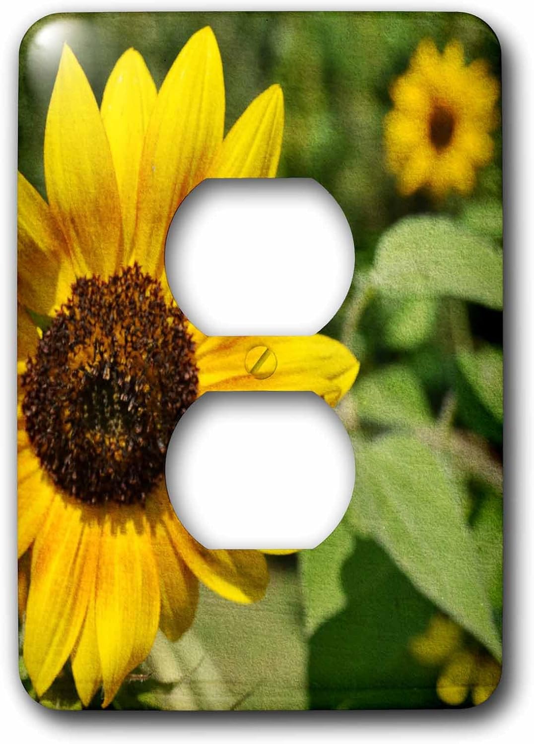 3dRose lsp_44694_6 Yellow Sunflower In Summer- Flowers- Floral Photography 2 Plug Outlet Cover