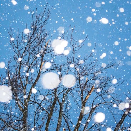 Breathwork: Nervous System Reset