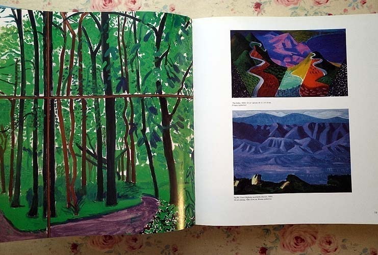 David Hockney: A Bigger Picture (洋書) David Hockney: A Bigger Picture (洋書)