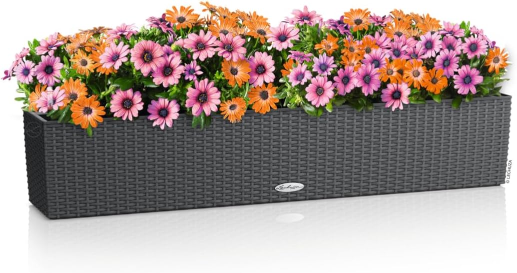Lechuza BALCONERA Cottage 100 Granite, Self-Watering Window Box (Railing Planter), H7.5 L39.4 W7.5 in