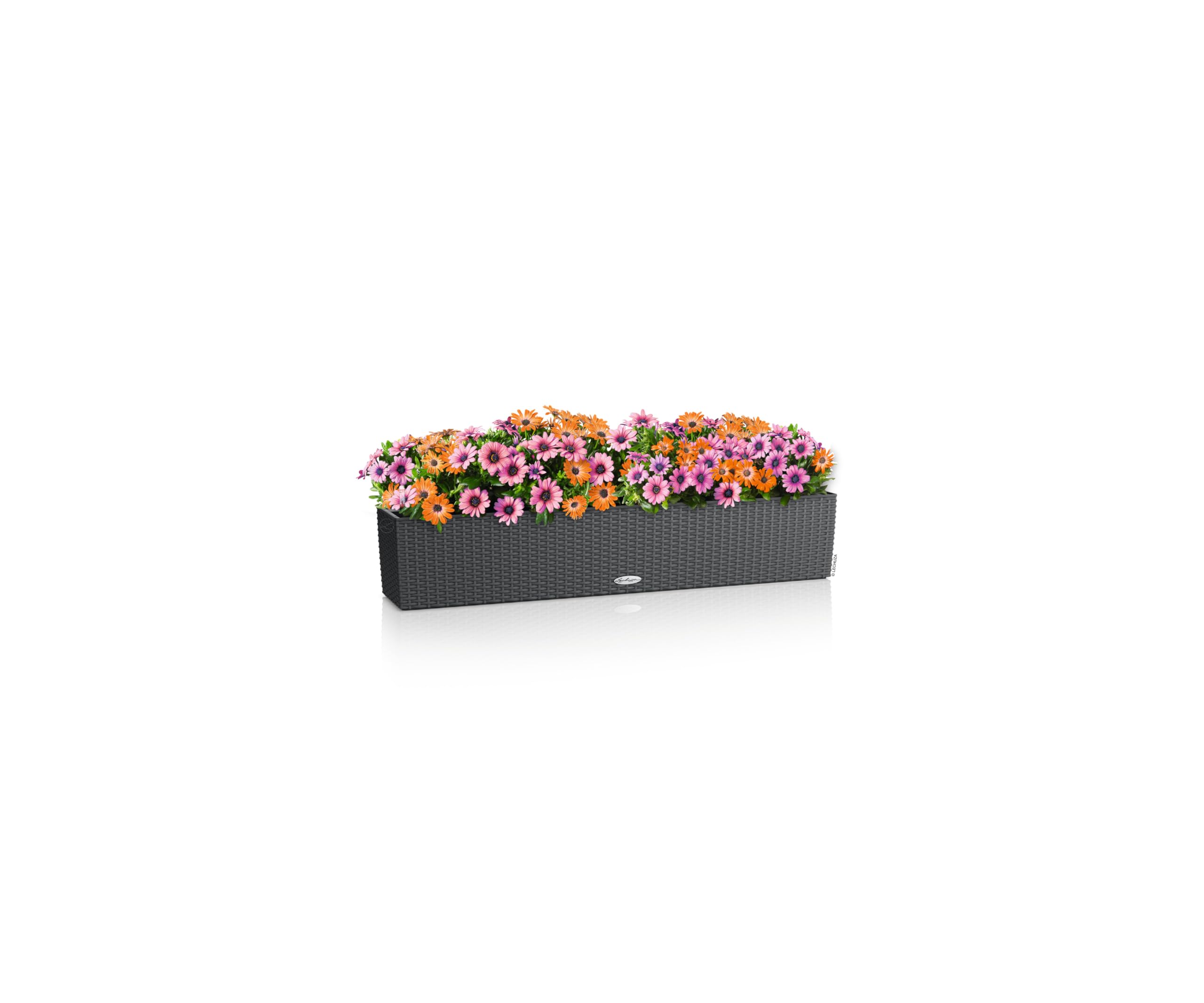 LECHUZA-Pflanzgefäß BALCONERA Cottage 100 Granit, Balkonkasten mit Bewässerungssystem, Wasserstandsanzeiger und Pflanzeinsatz, Flechtoptik, 99 x 19 x 19 cm, 15911