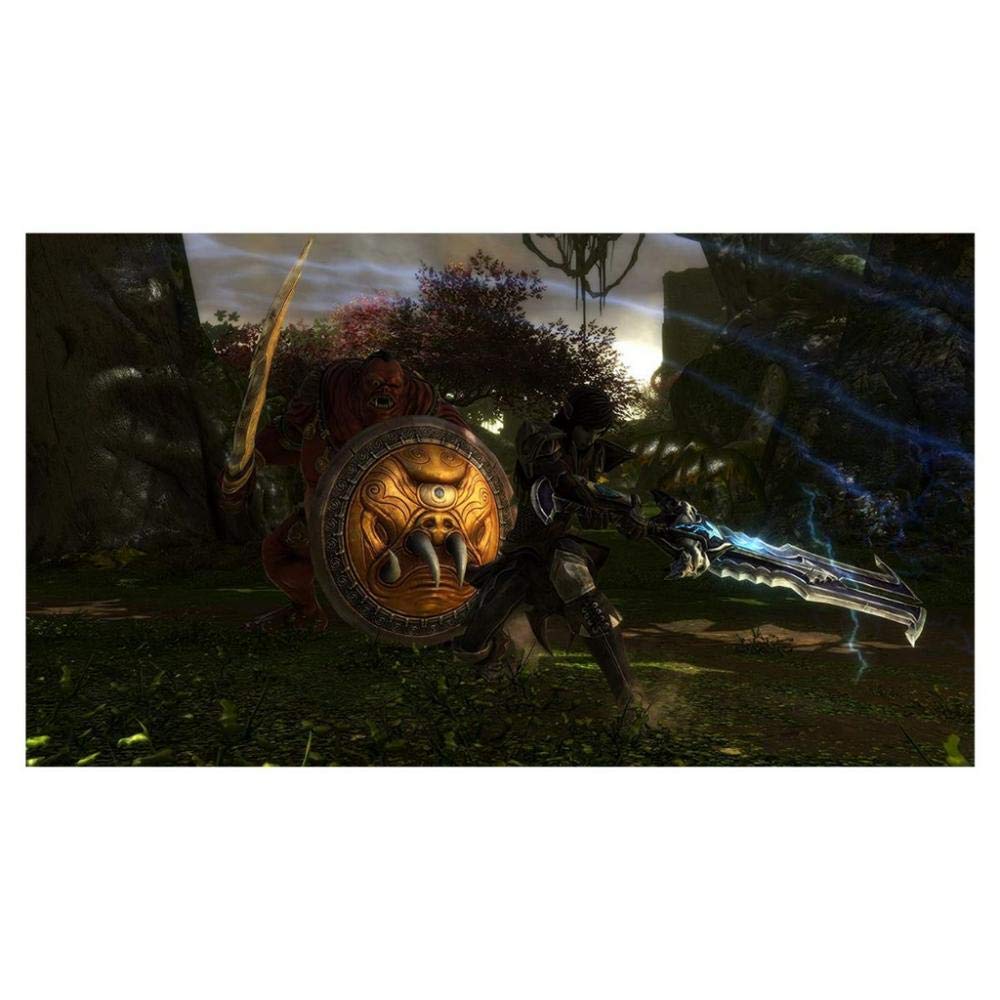 Kingdoms of Amalur Re-Reckoning - PlayStation 4