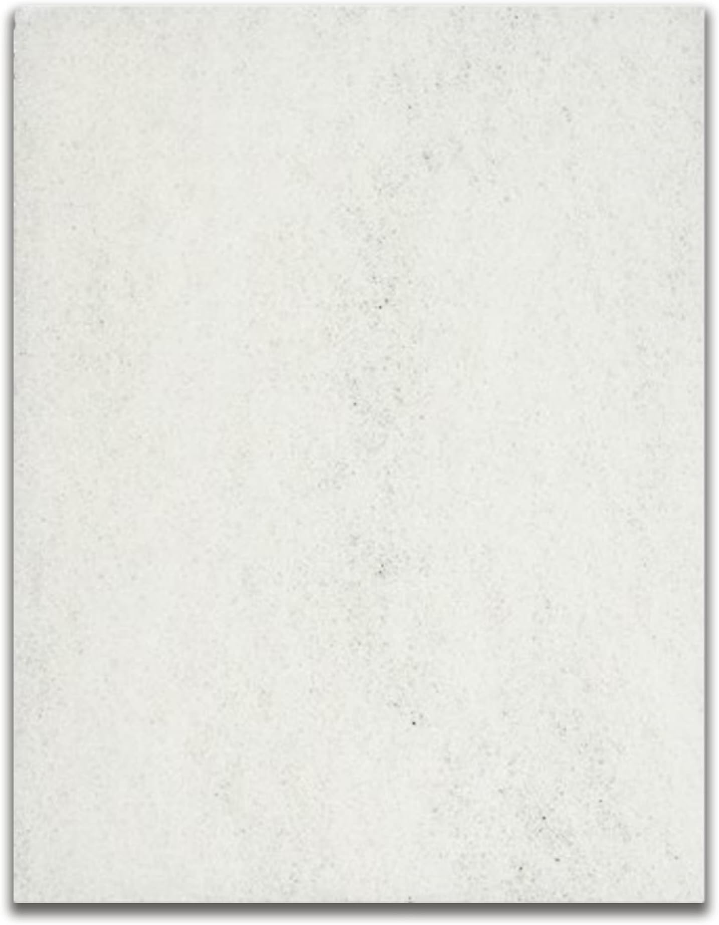 SavioReplacement Filter Mat for Standard Skimmerfilter - RS020